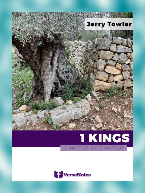 1 Kings Chapter By Chapter guide cover