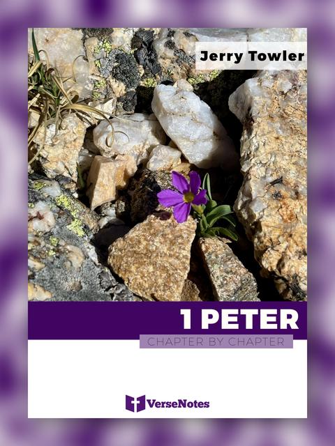 1 Peter Chapter By Chapter guide cover
