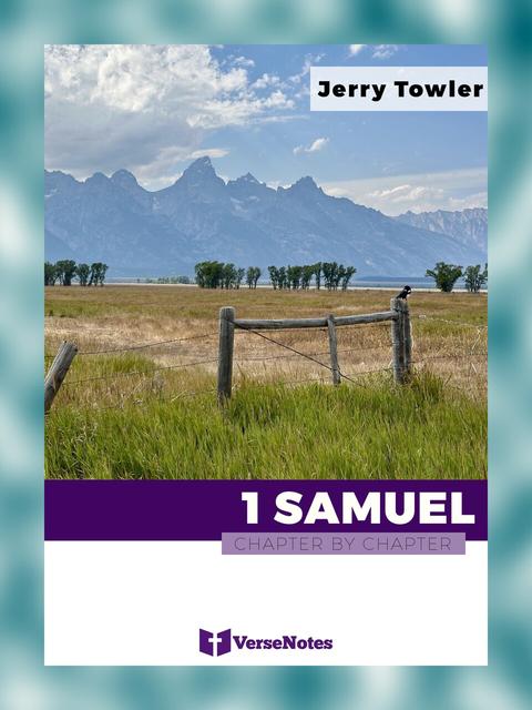 1 Samuel Chapter By Chapter guide cover