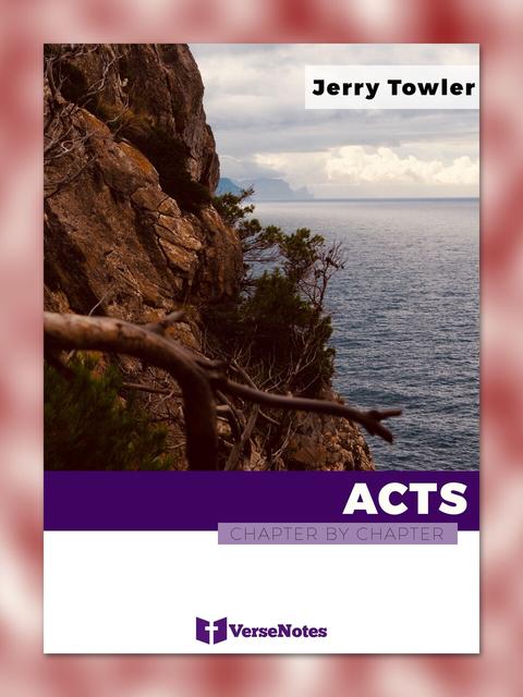 Acts Chapter By Chapter guide cover