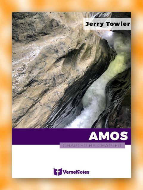 Amos Chapter By Chapter guide cover