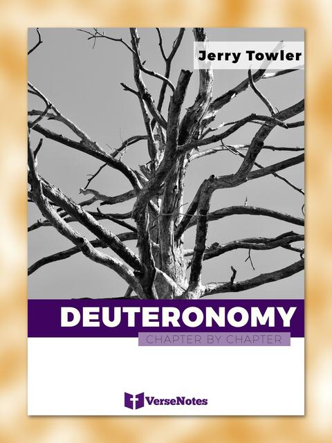 Deuteronomy Chapter By Chapter guide cover
