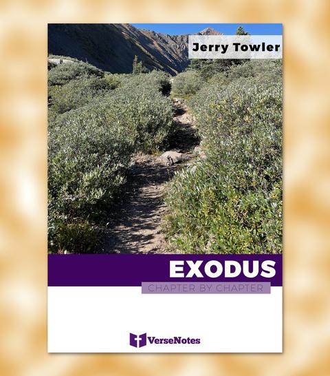 Exodus Chapter By Chapter guide cover