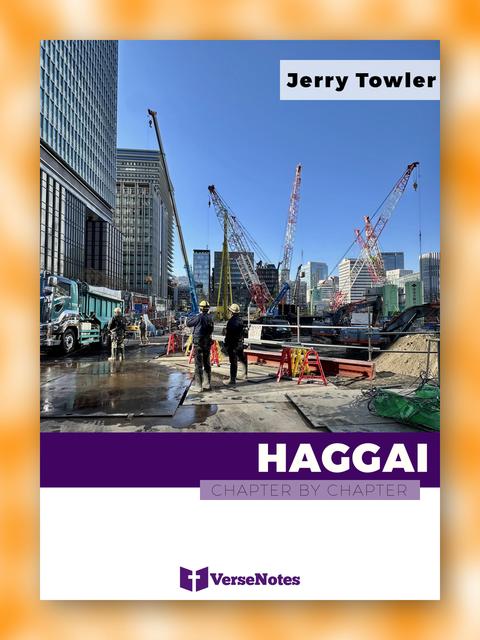 Haggai Chapter By Chapter guide cover
