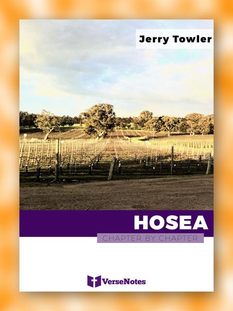Hosea Chapter By Chapter guide cover