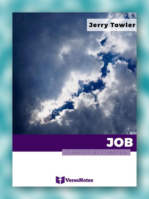 Job Chapter By Chapter guide cover