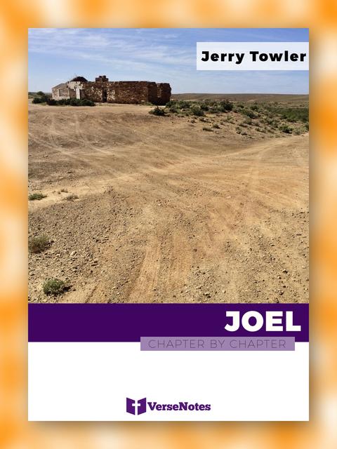 Joel Chapter By Chapter guide cover