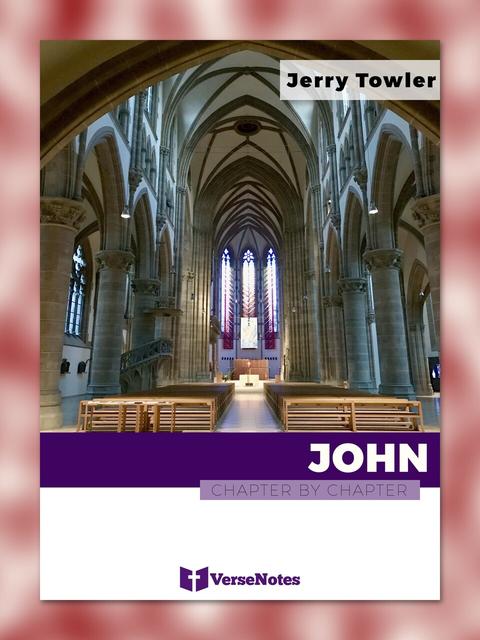 John Chapter By Chapter guide cover