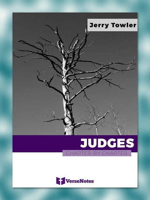 Judges Chapter By Chapter guide cover