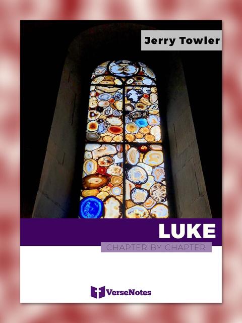 Luke Chapter By Chapter guide cover