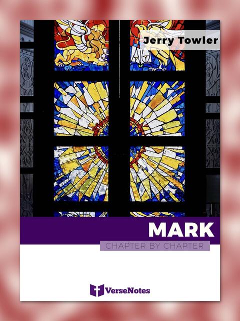Mark Chapter By Chapter guide cover