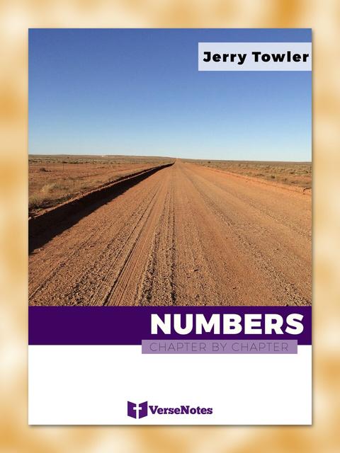 Numbers Chapter By Chapter guide cover