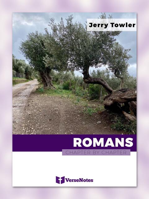 Romans Chapter By Chapter guide cover